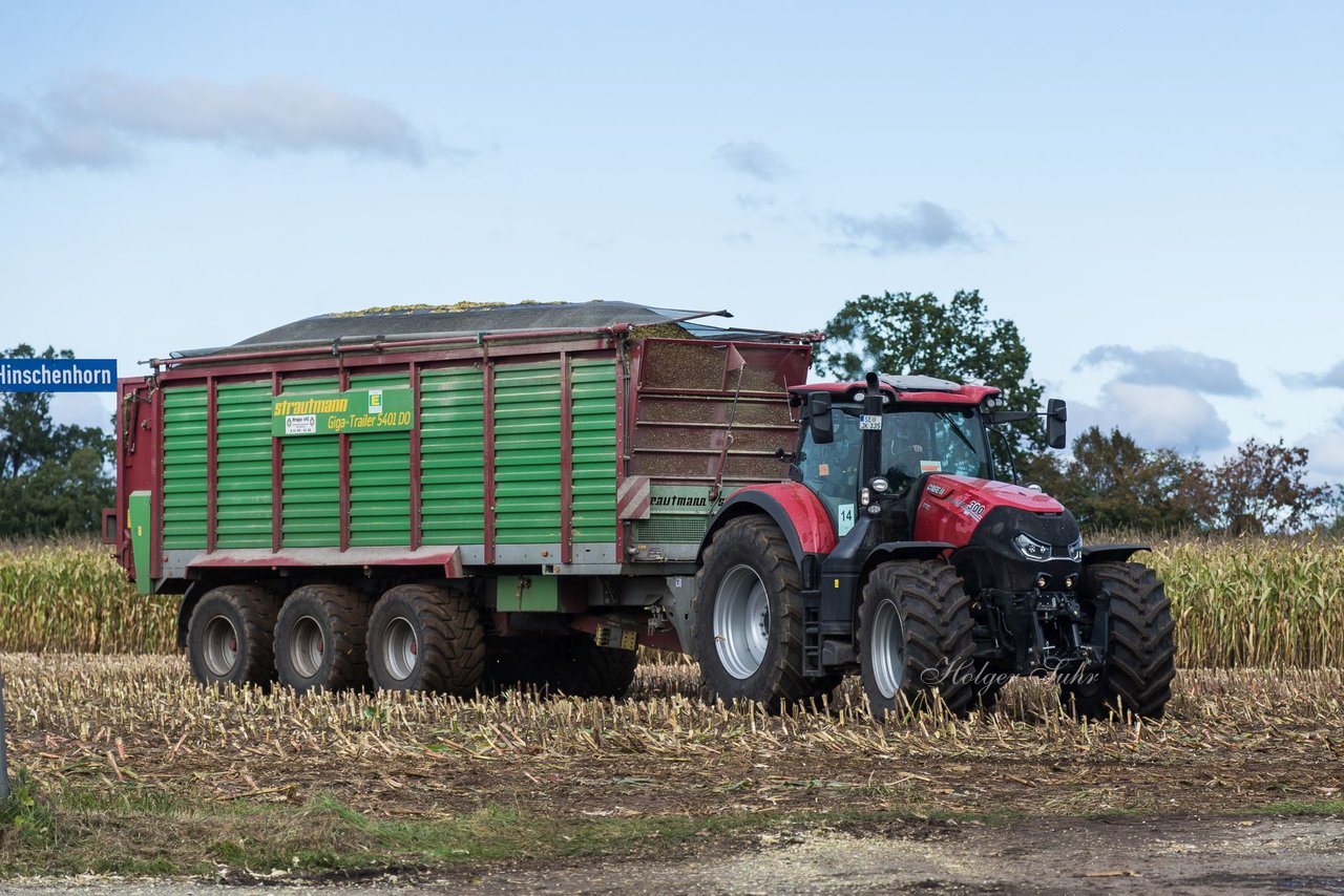 Bild 145 - Maisernte